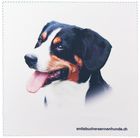 Brillenputztücher Microfasertücher Cleanys bedruckt mit Ihrem Logo Motiv Sujet